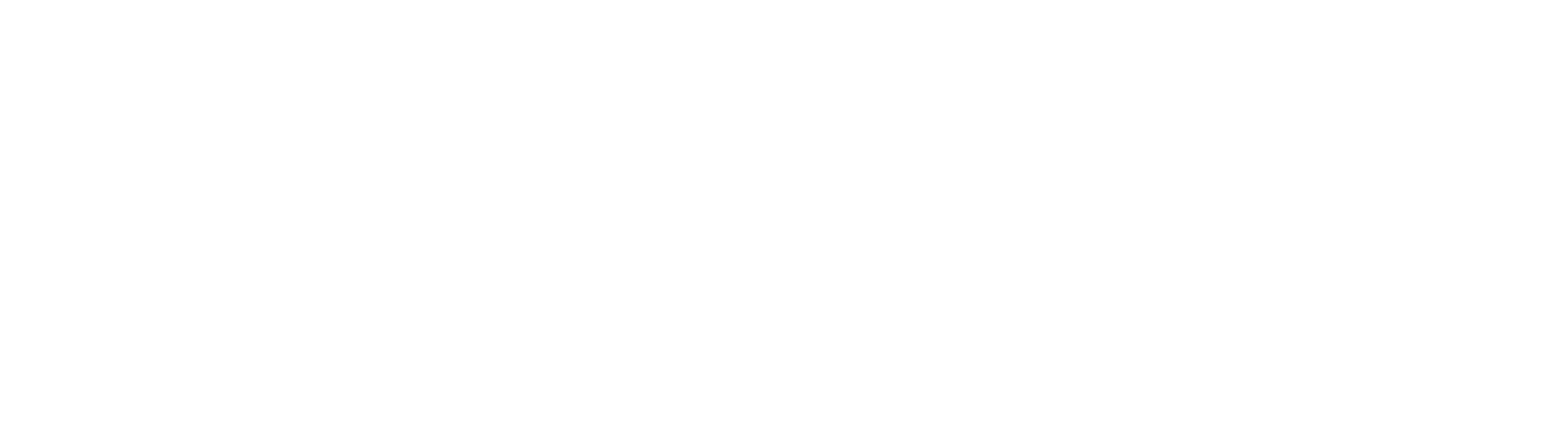 vSure Logo White