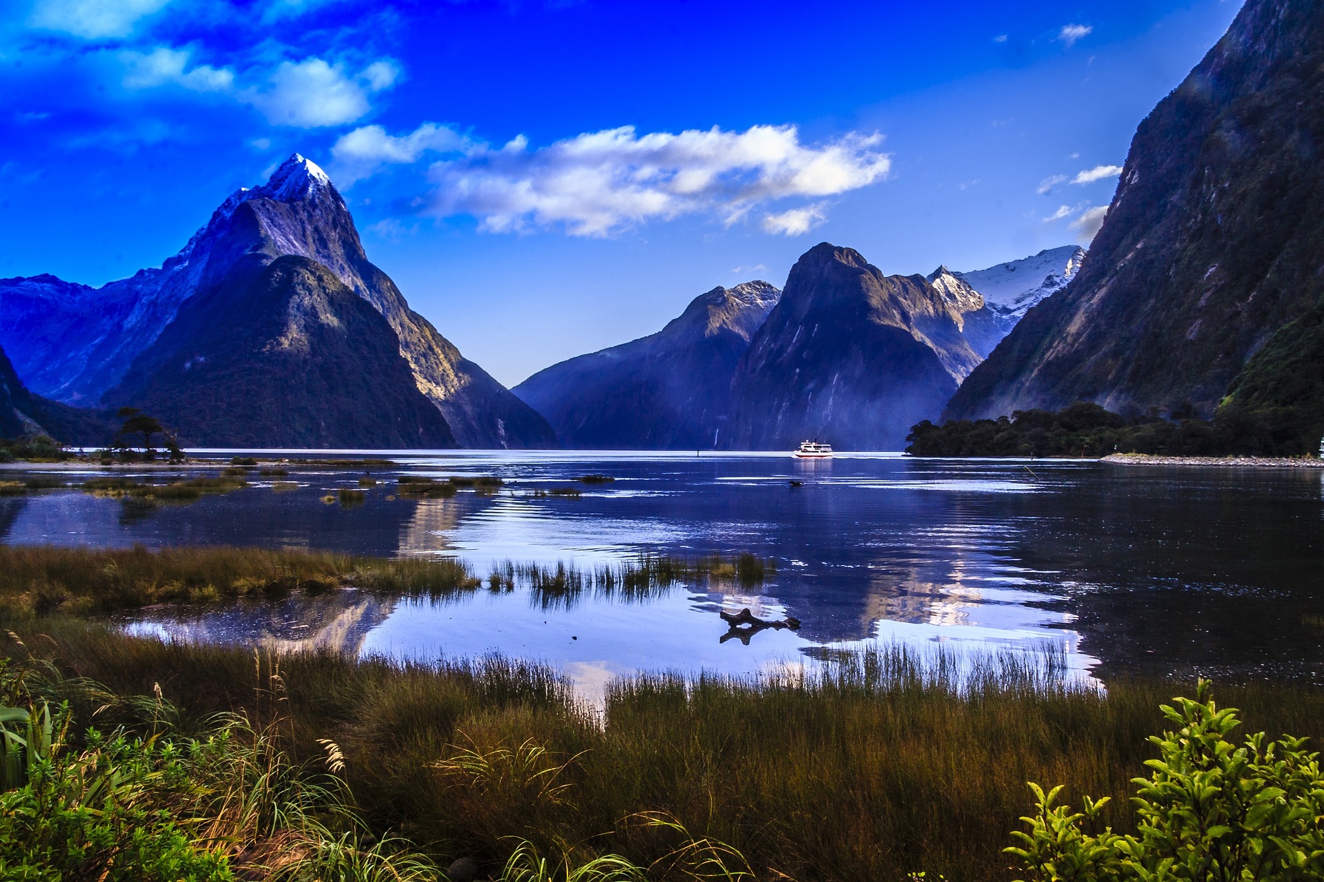 employing nz citizens in australia on special category 444 visas