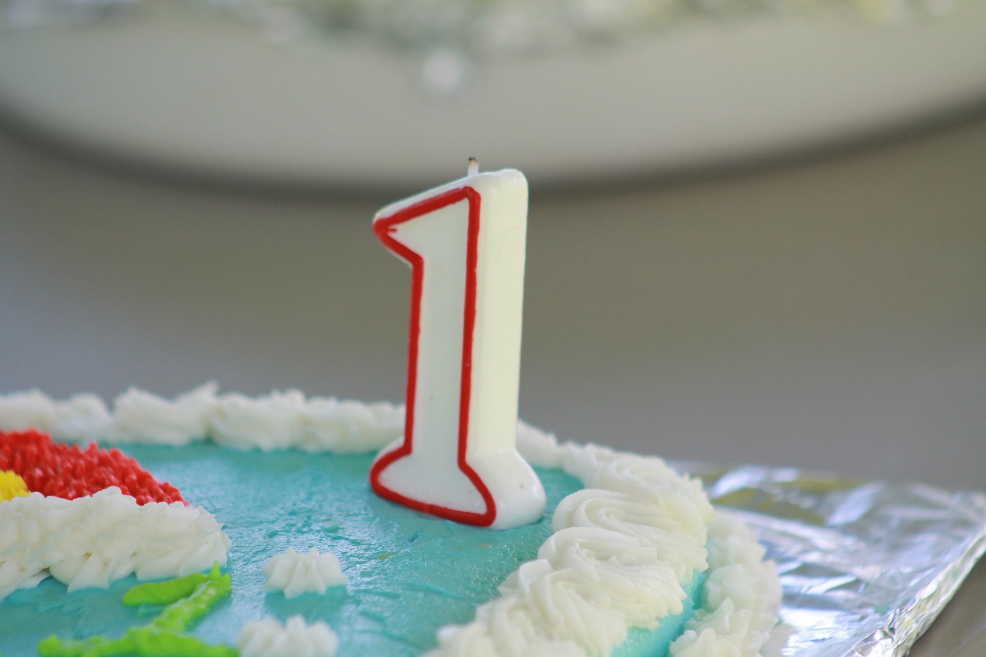TSS Visa now One Year Old